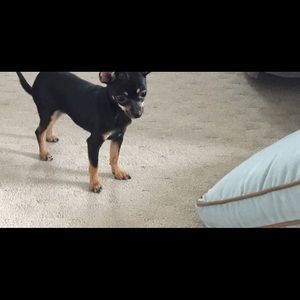 Meet your Posher, Janice